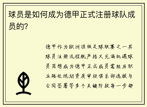 球员是如何成为德甲正式注册球队成员的？